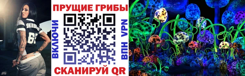 Галлюциногенные грибы Cubensis  Шумерля 